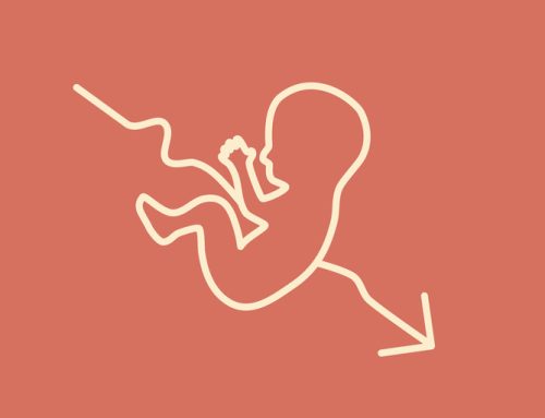 Florida’s Proposed “Fetal Wrongful Death” Bill: A Legal and Moral Fault Line